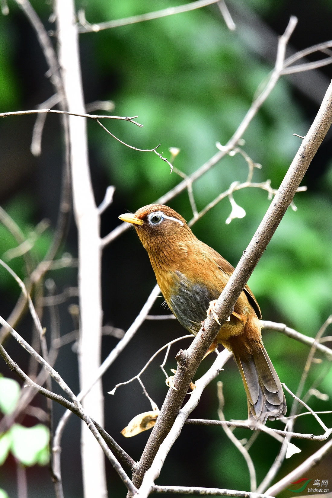 DSC_0329.JPG