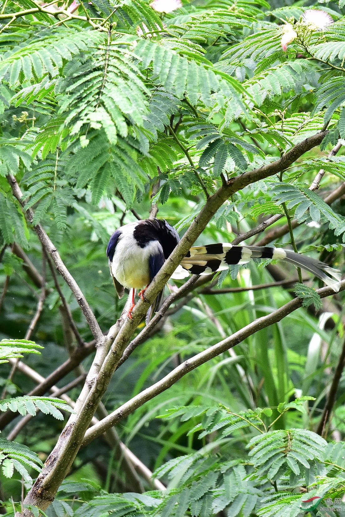 DSC_0751.JPG