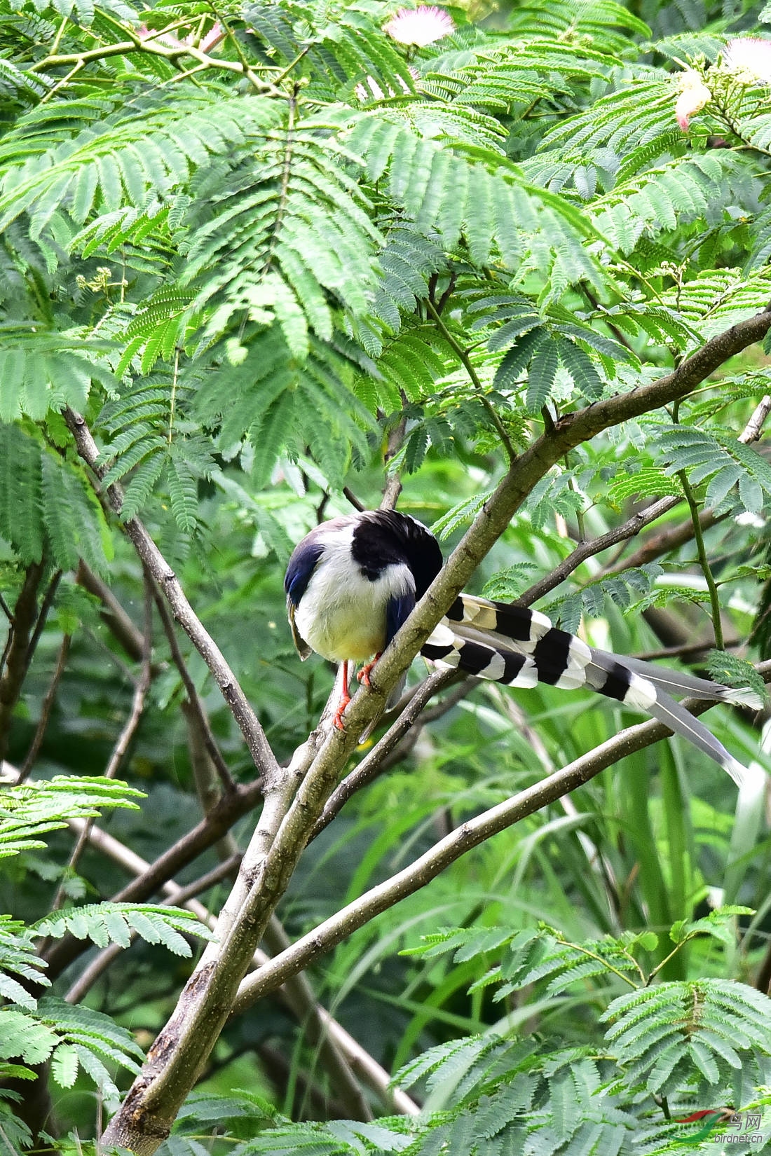DSC_0752.JPG