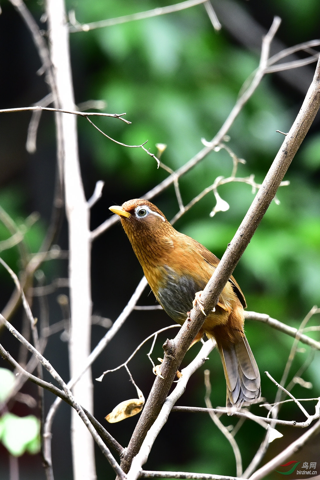 DSC_0331.JPG