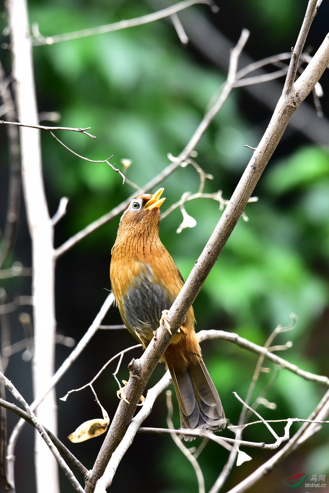 DSC_0332.JPG