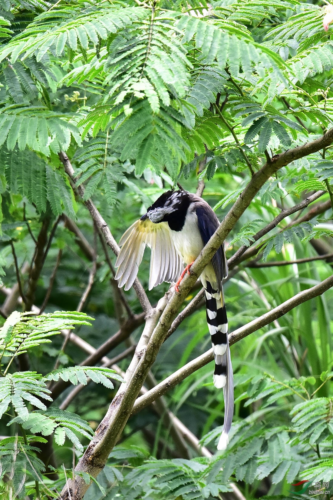 DSC_0753.JPG