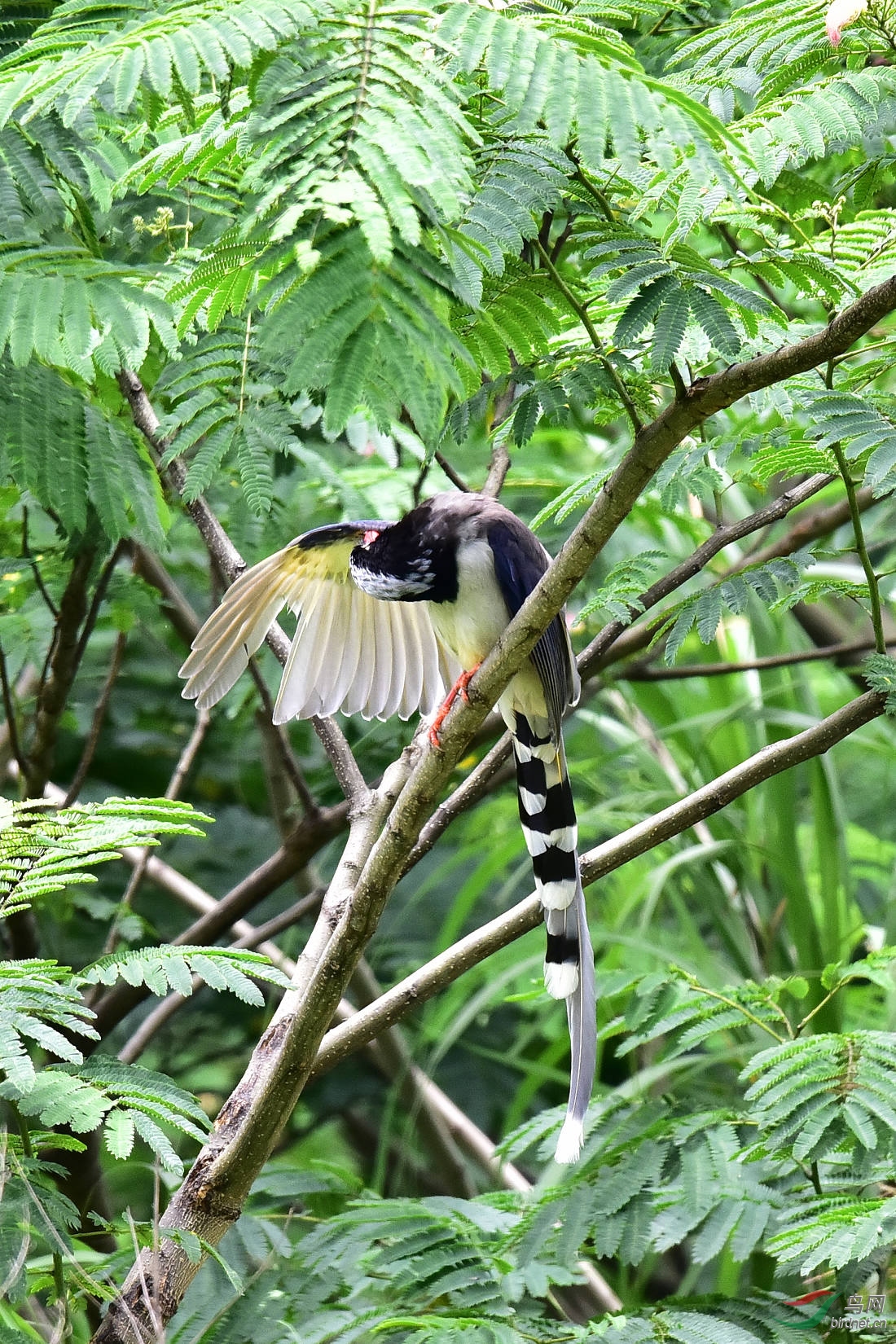 DSC_0754.JPG