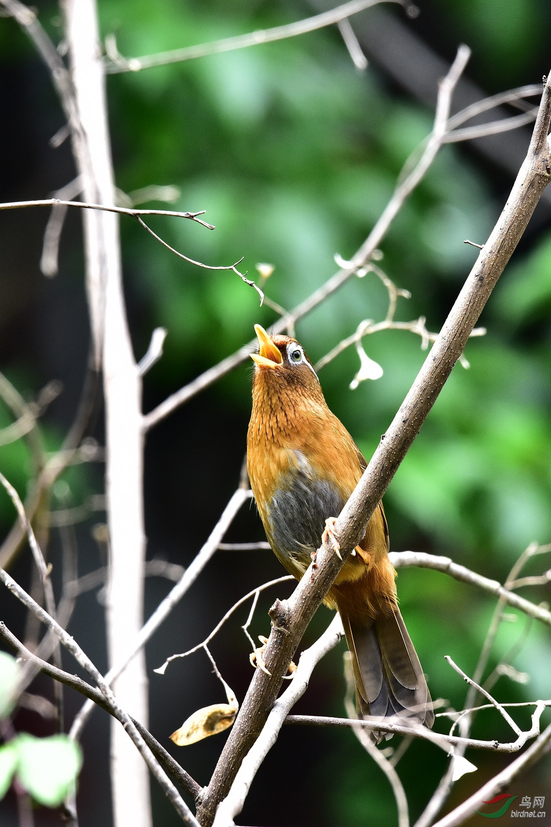 DSC_0333.JPG