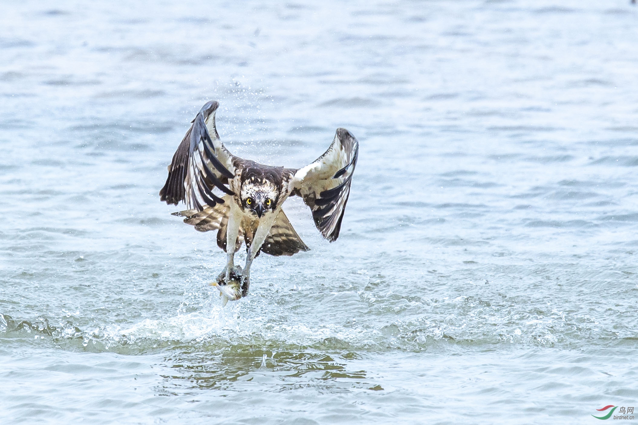 DSC_2544.jpg