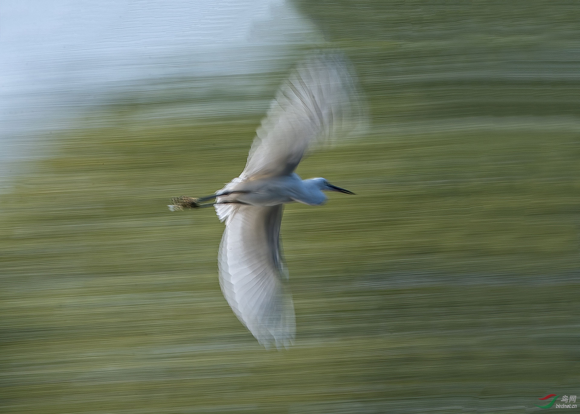 DSC_7973.jpg