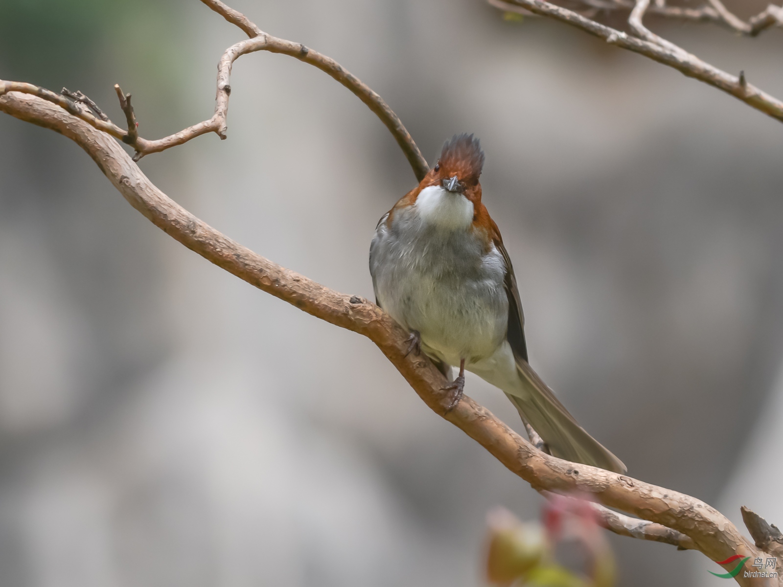 �����̽���