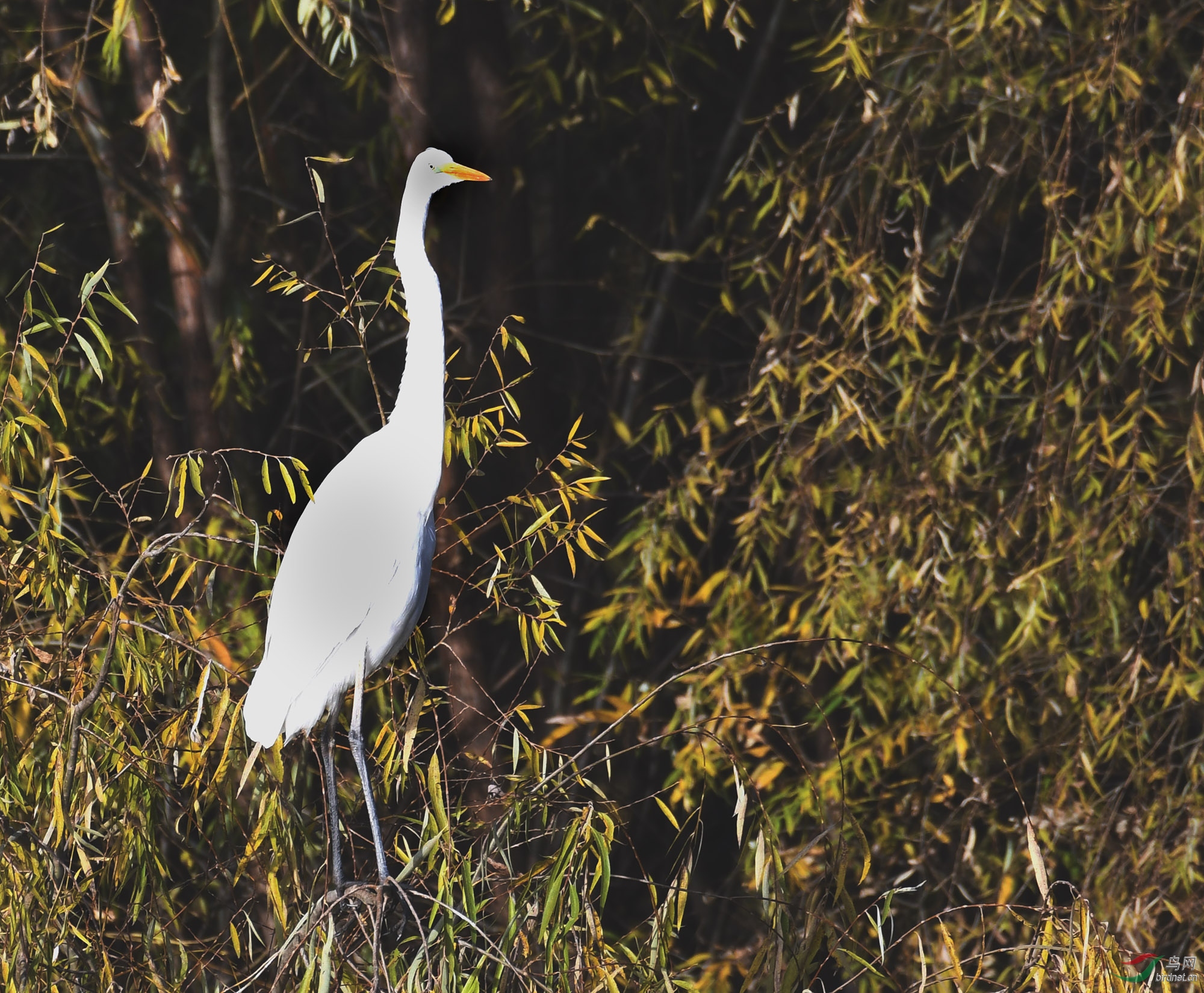 ������Ӱ 838����.jpg