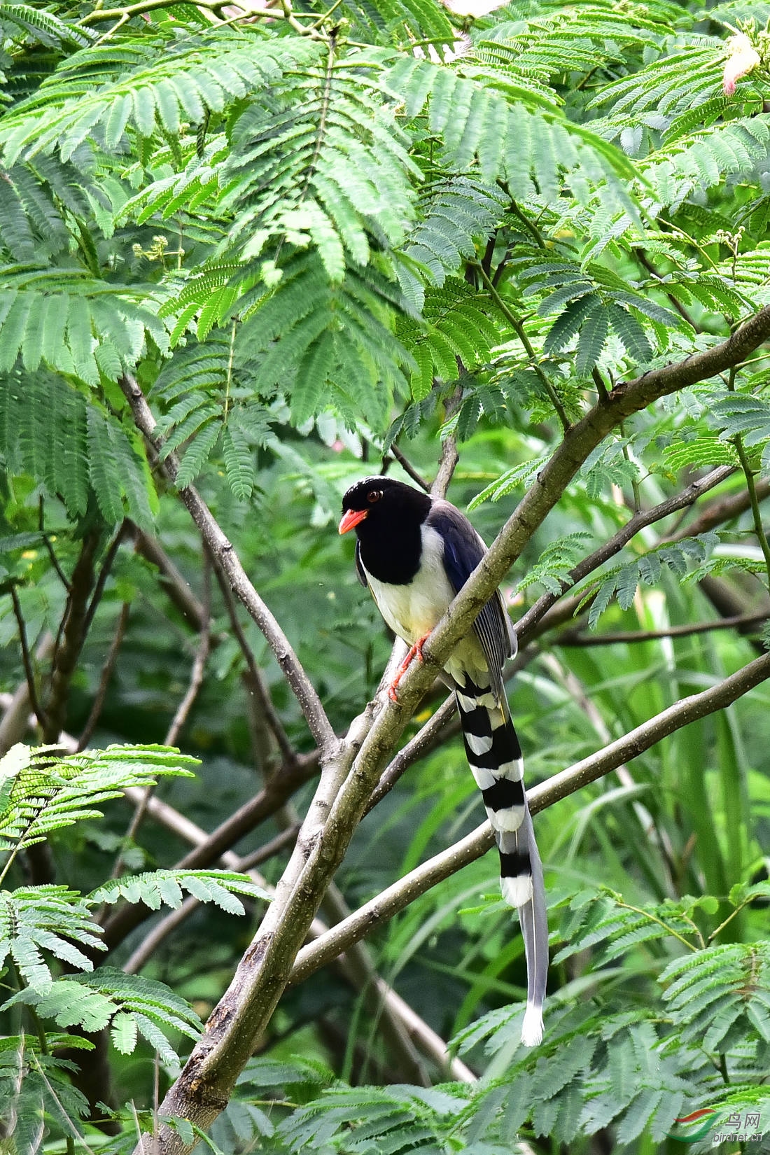 DSC_0755.JPG