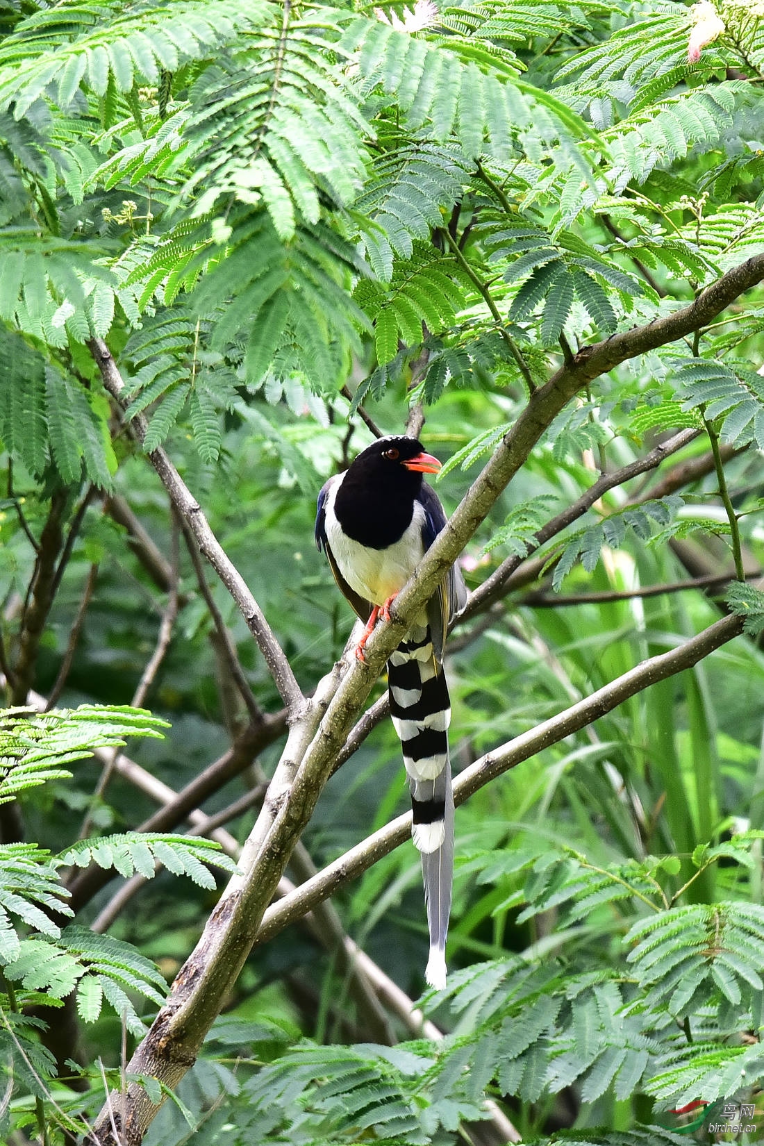 DSC_0756.JPG