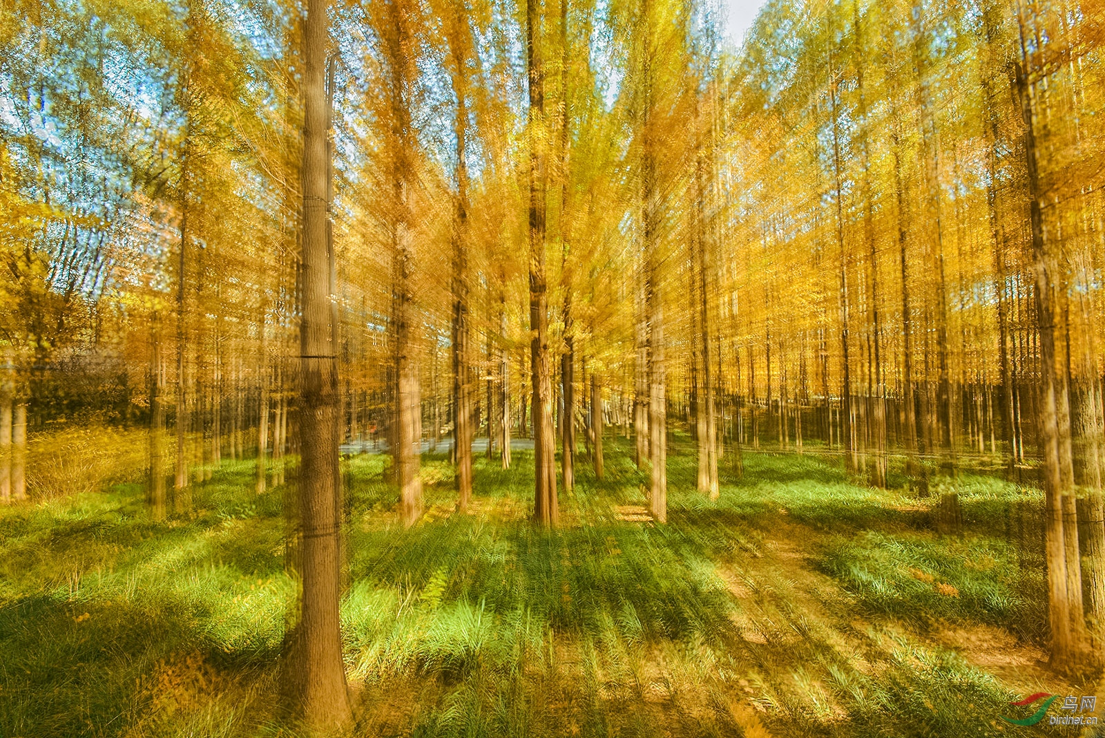 _D8A9340_13136a.jpg
