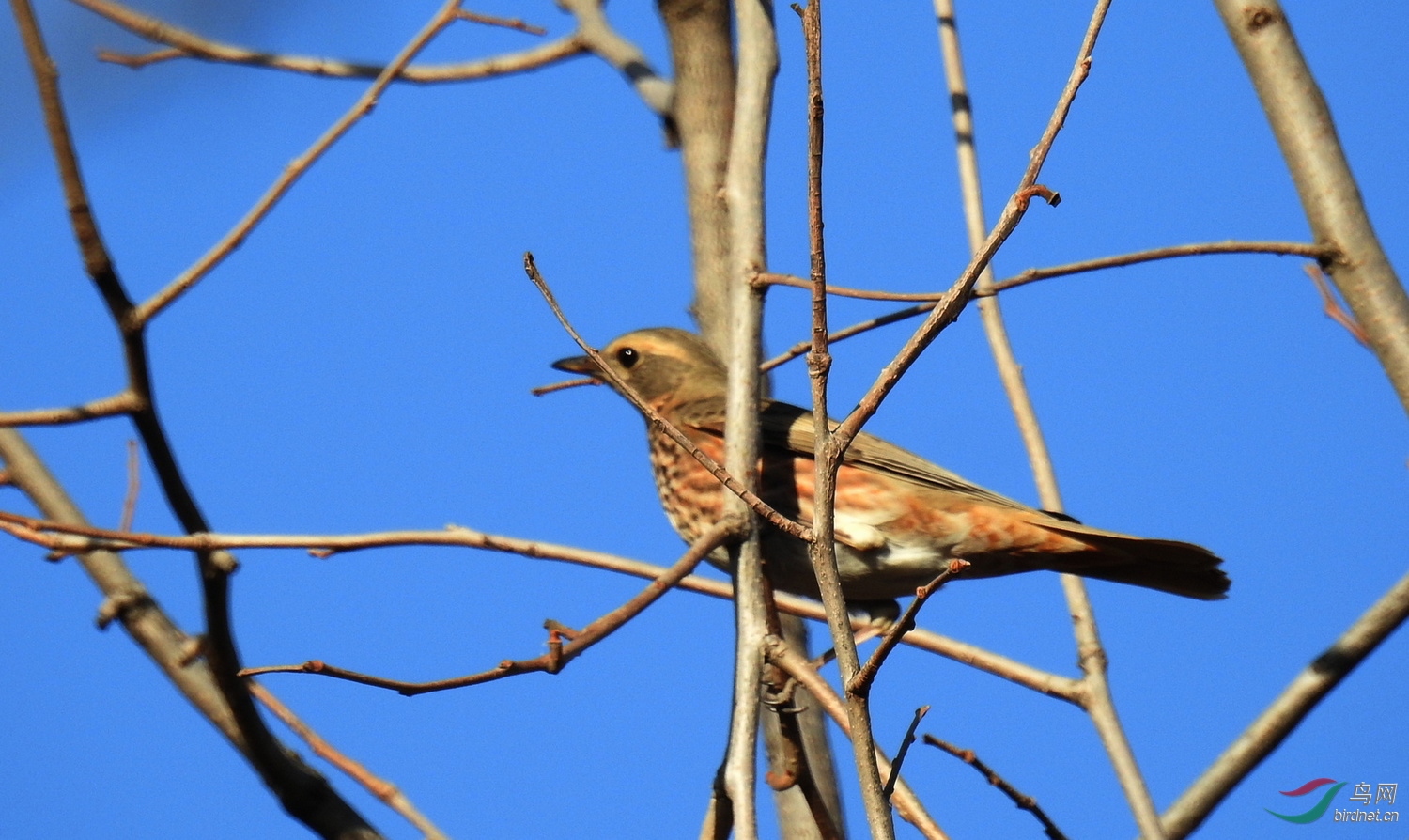 DSCN9164.JPG