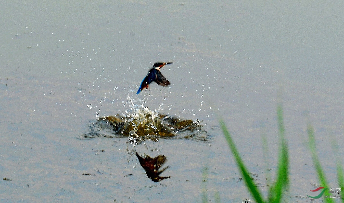 DSC_6132.JPG