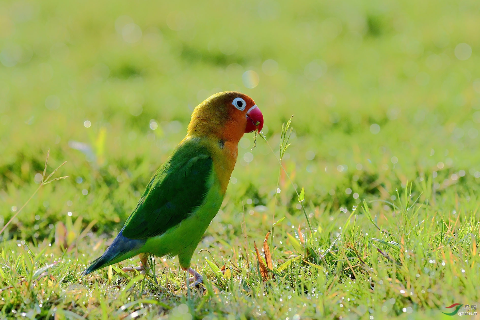 DSC_0441.JPG