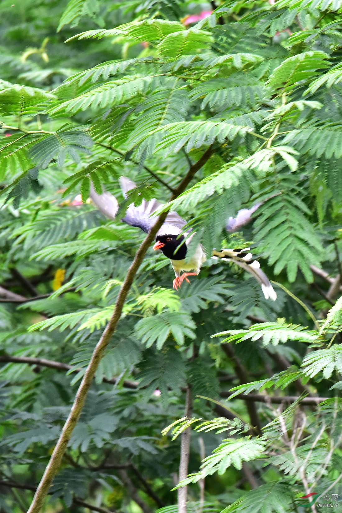 DSC_0758.JPG