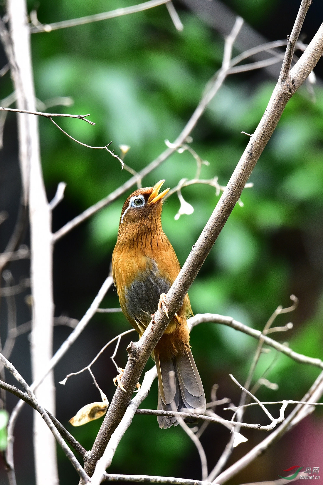 DSC_0338.JPG
