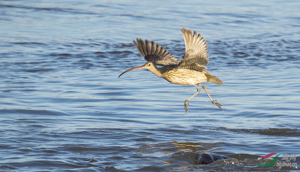 DSC_8200-0.jpg
