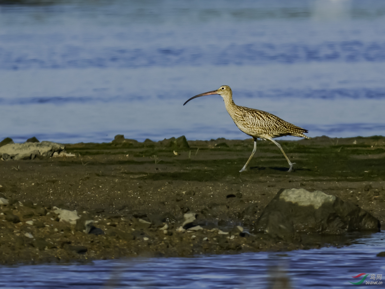 DSC_2077.jpg