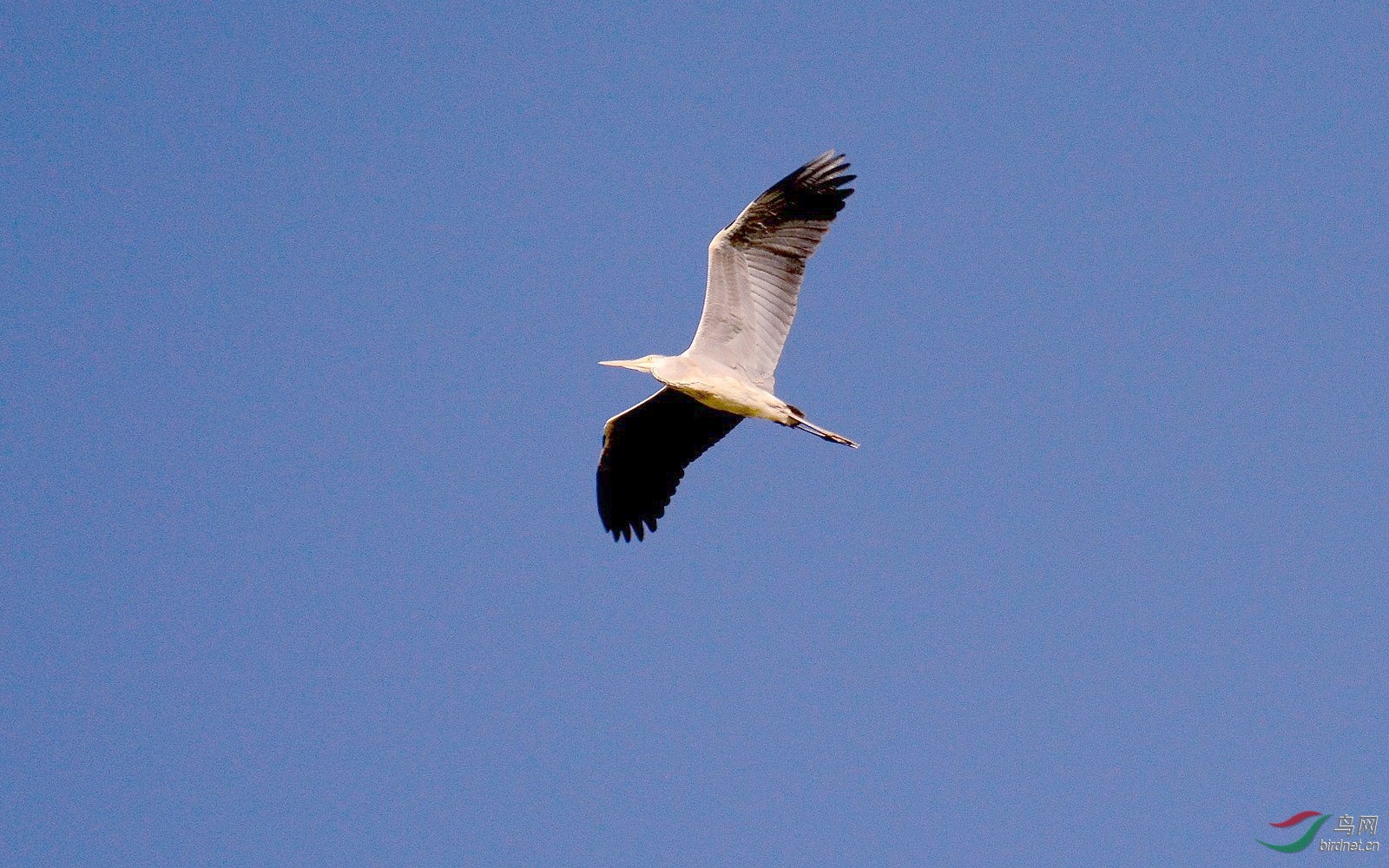 DSC_6486.JPG