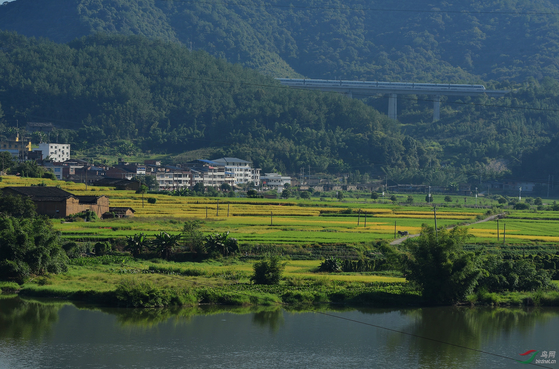 D8I_1305.jpg