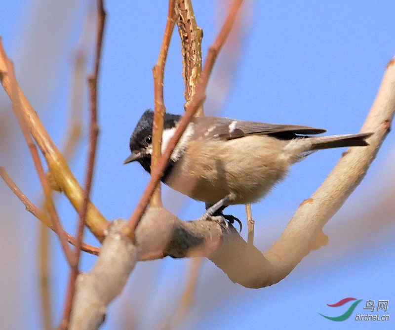 P3830869 - ����.JPG