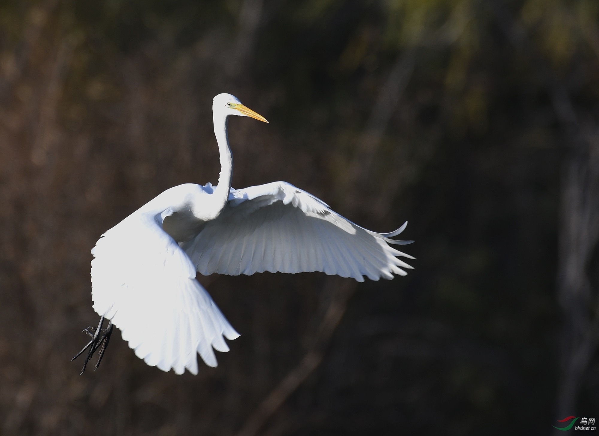 ������Ӱ 032����.jpg