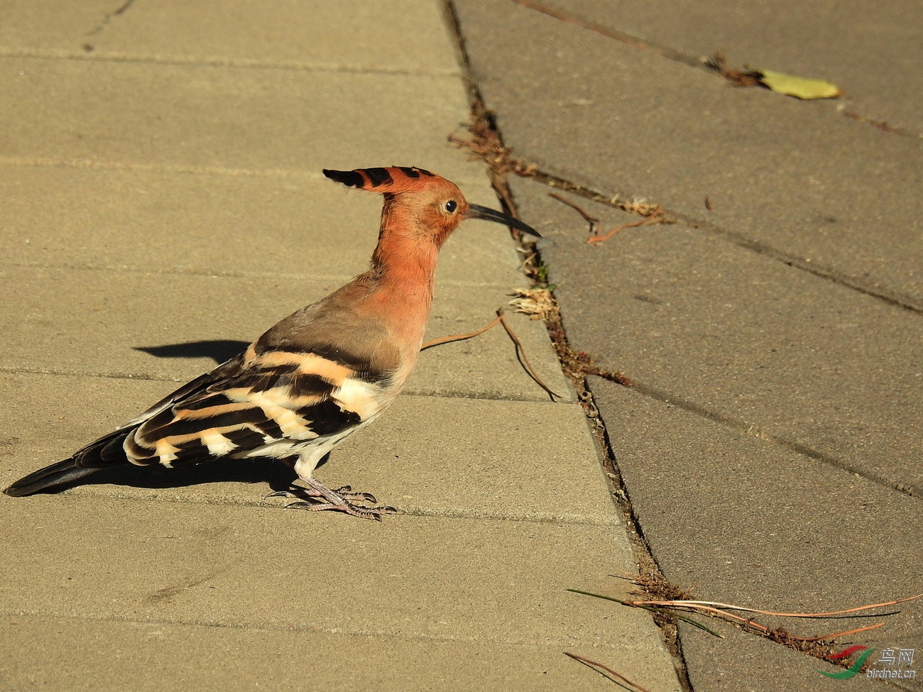 DSCN9390.JPG