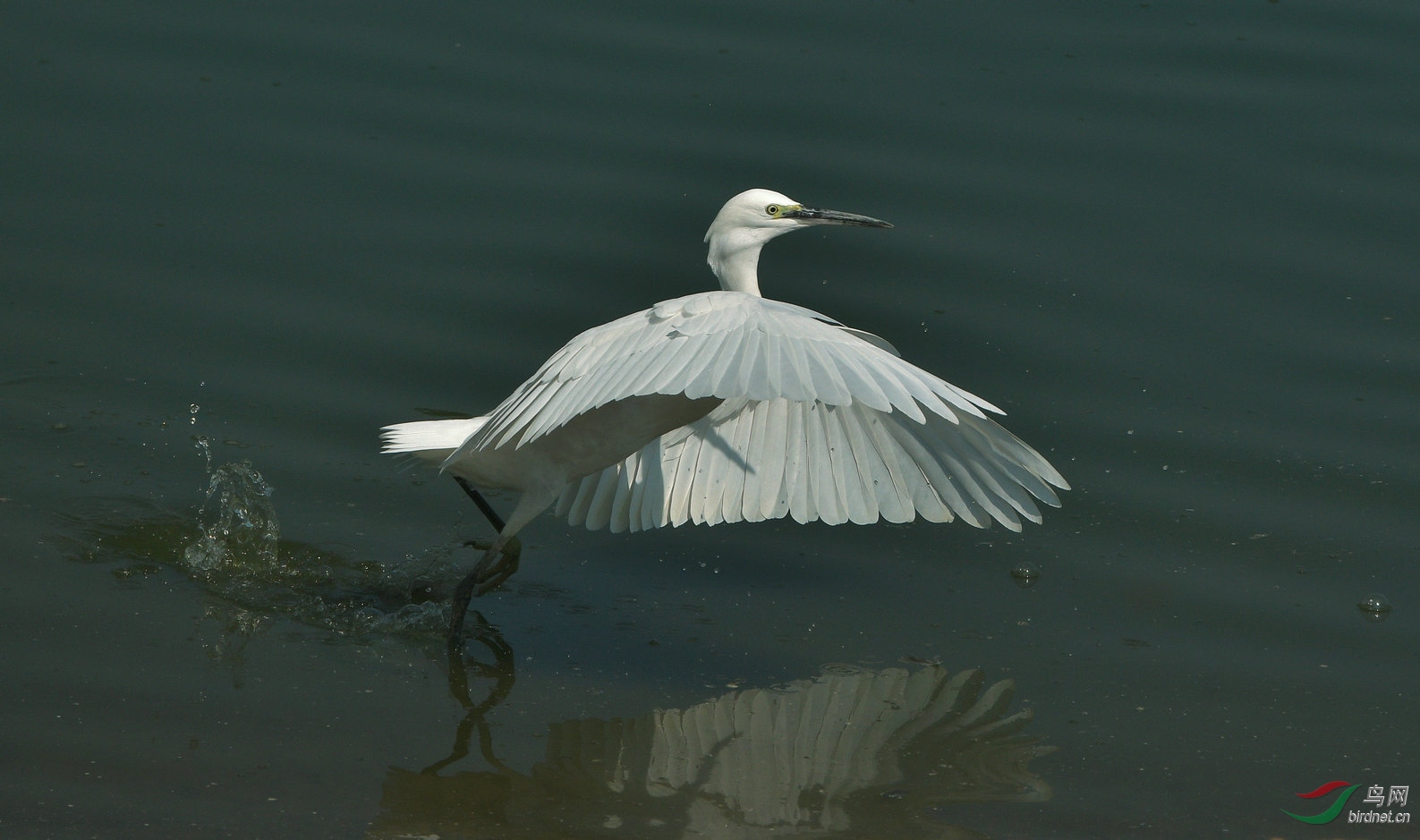 DSC_0636.jpg