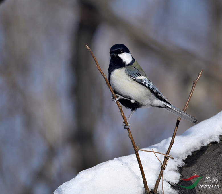 _DSC6799_00001_����.jpg