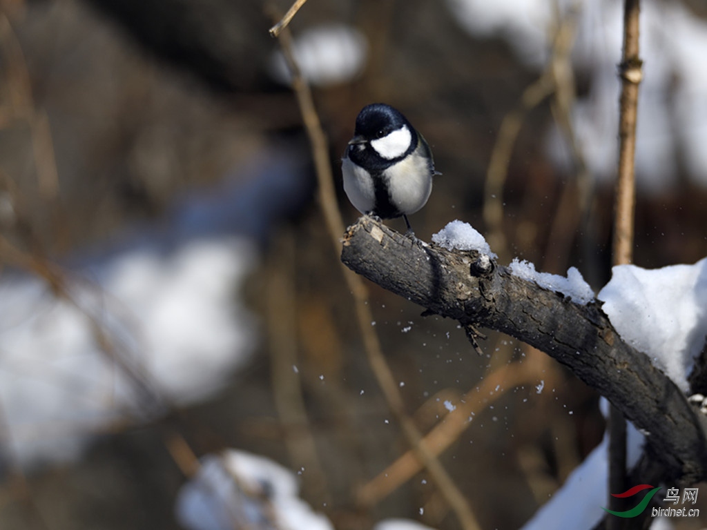 _DSC6877_00001_����.jpg