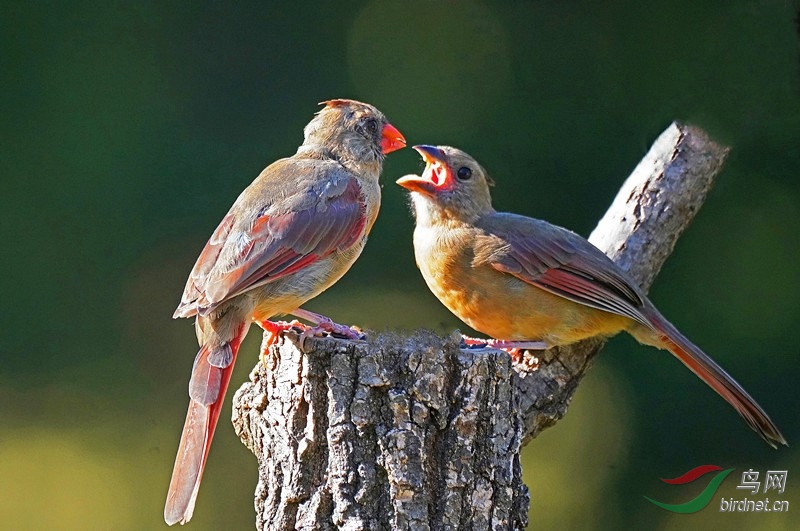 DSC05707-_���� (2).jpg