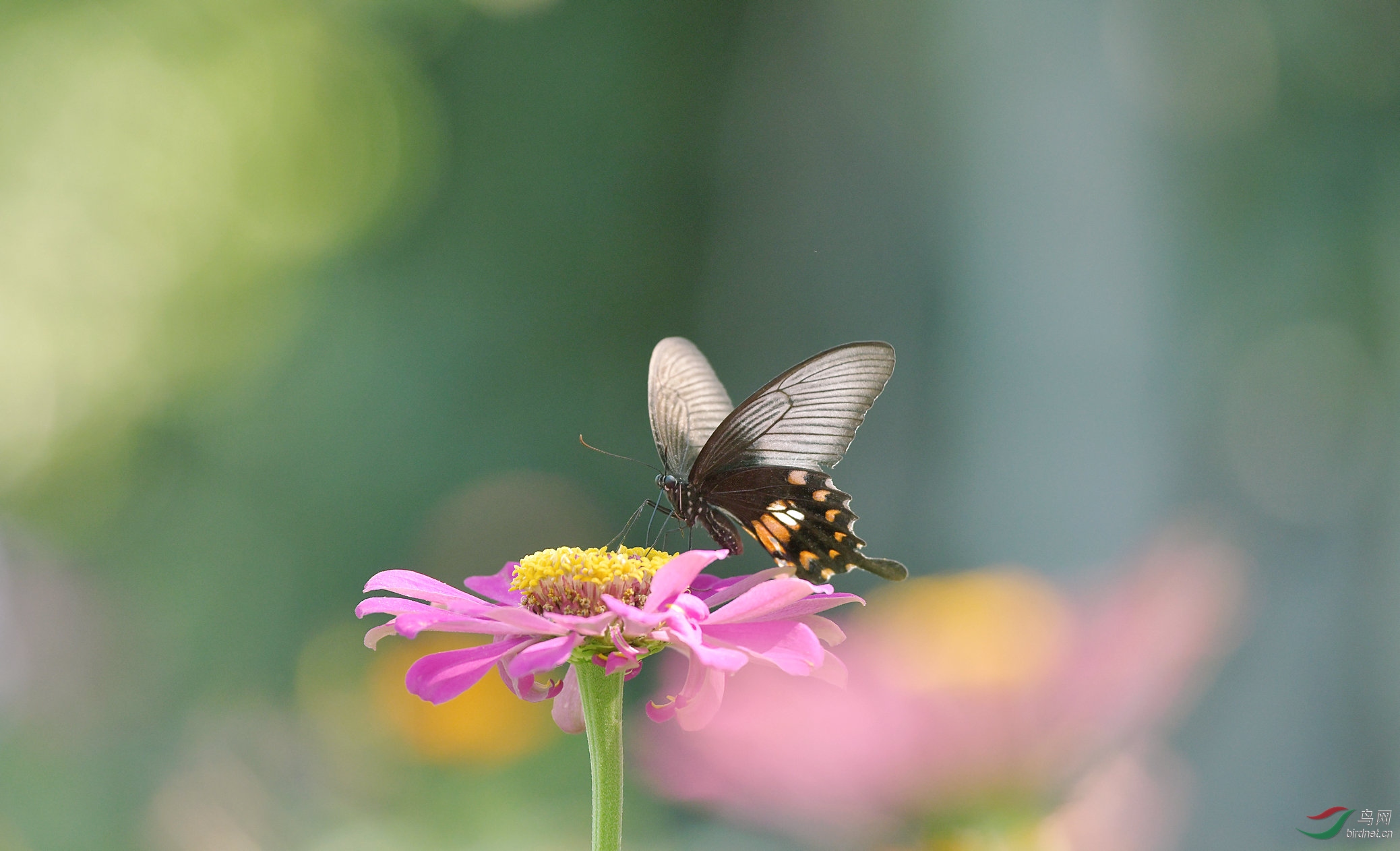 DSC_9615.jpg