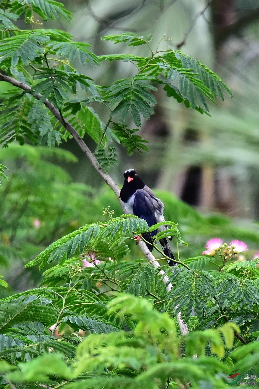 DSC_0763.JPG