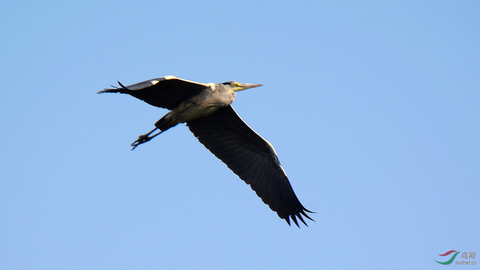 DSC_0341.JPG
