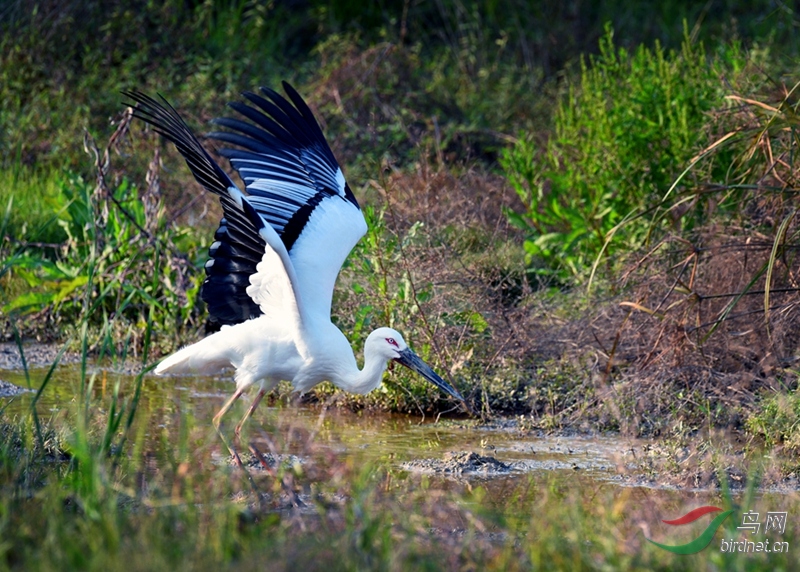 DSC_5343.JPG