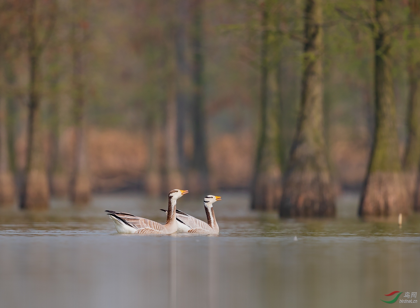 1DX_0196.jpg