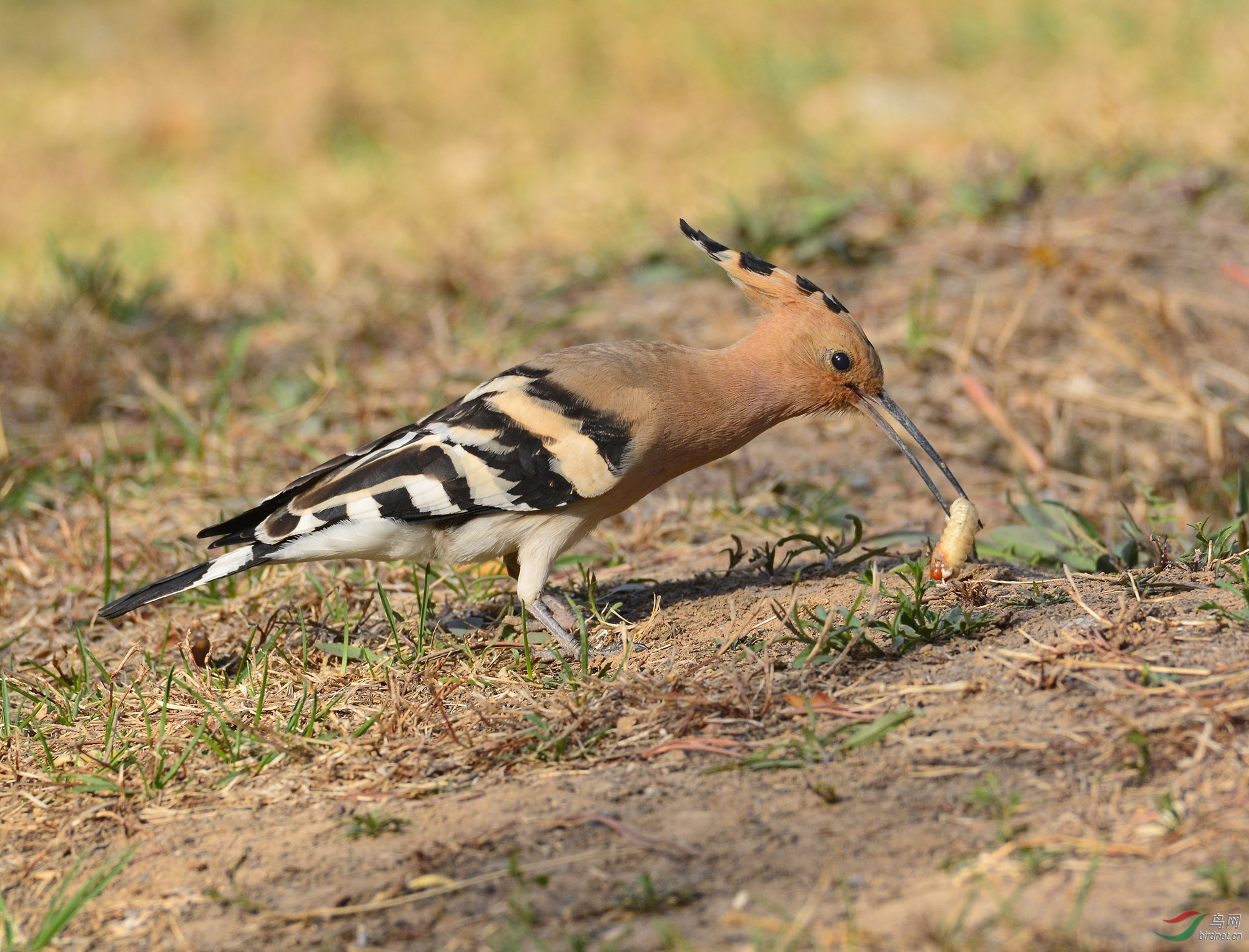 ������Ӱ 846����.jpg