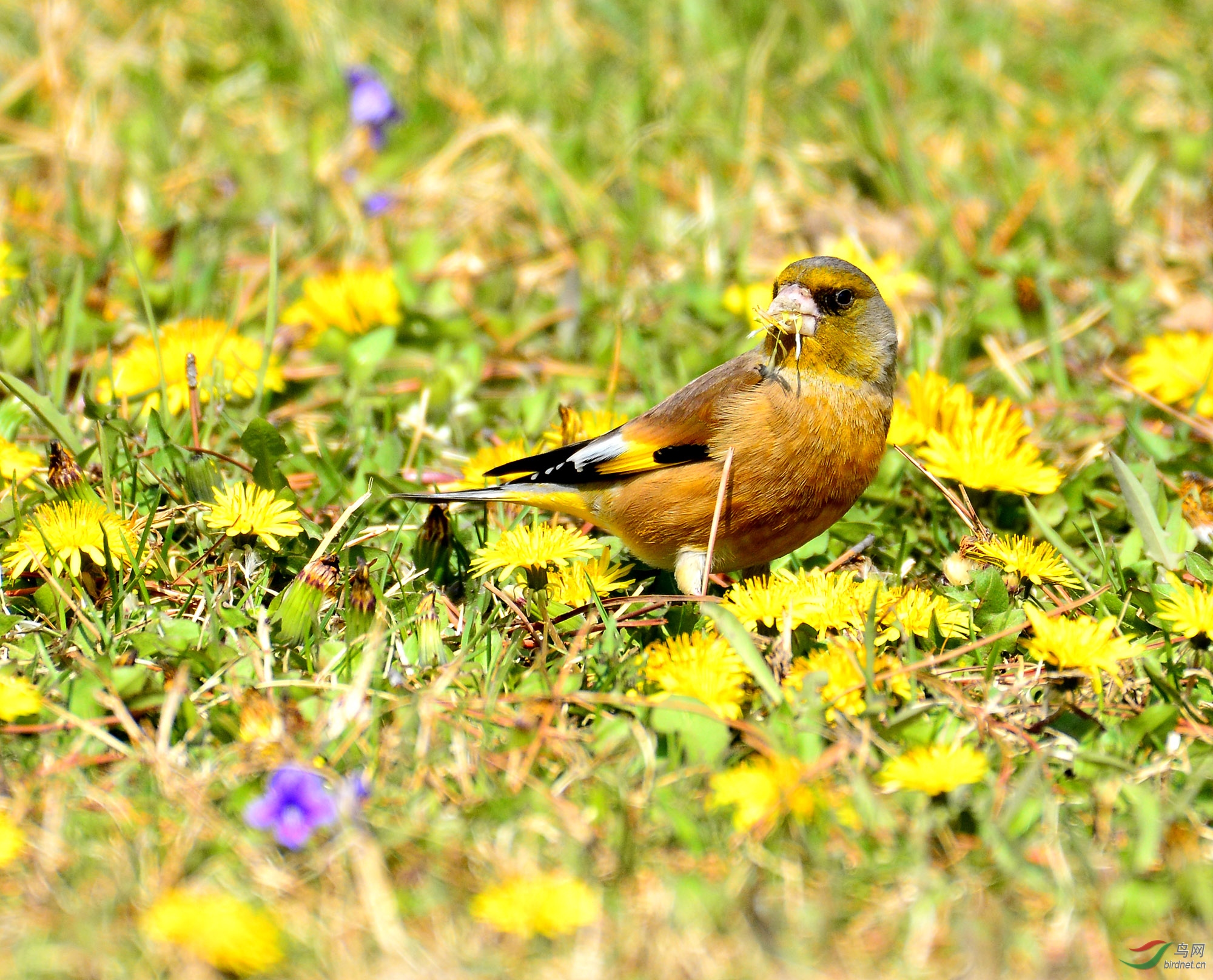 ������Ӱ 1583����.jpg