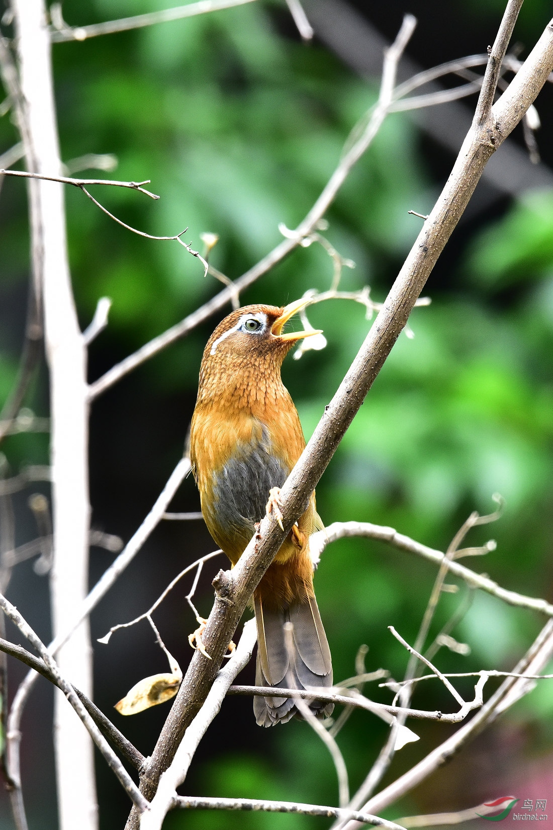 DSC_0345.JPG