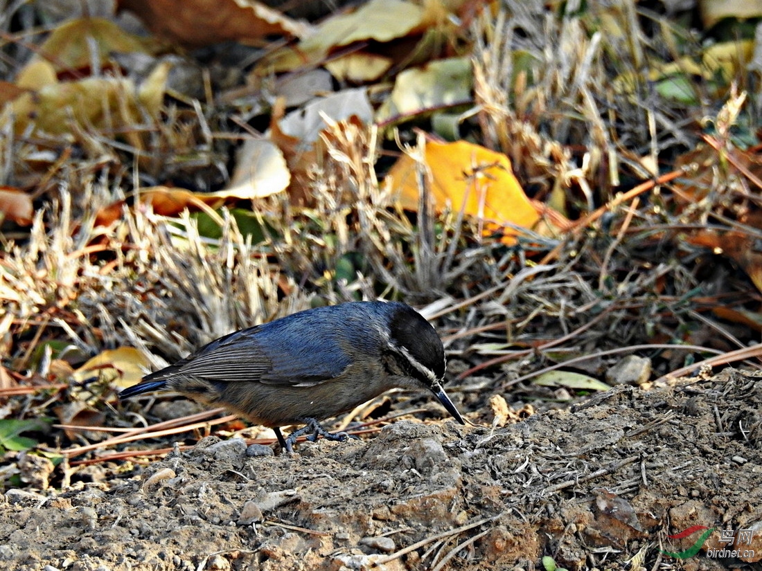 DSCN9299.JPG