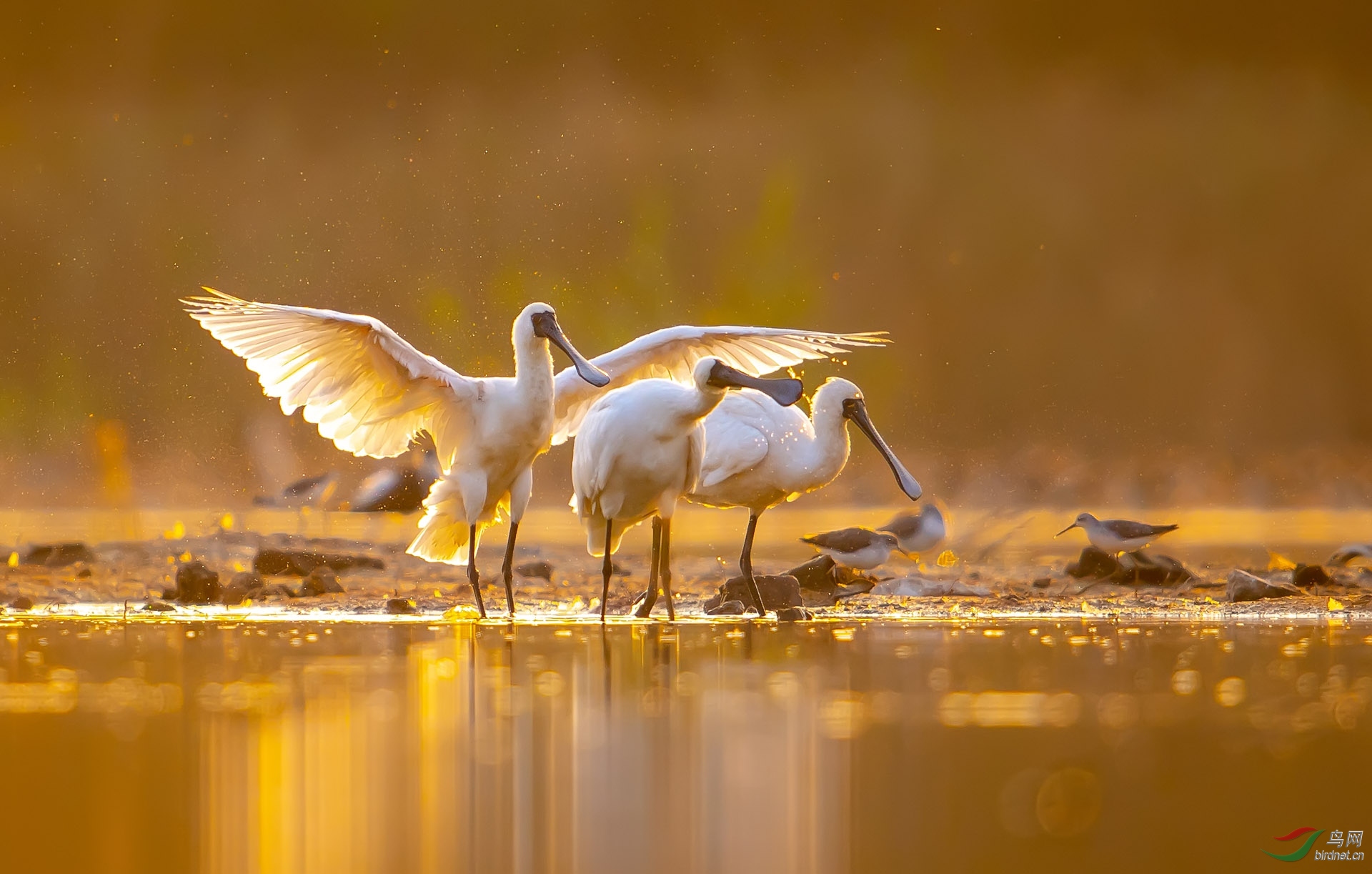 ZXC_6767 ����.jpg