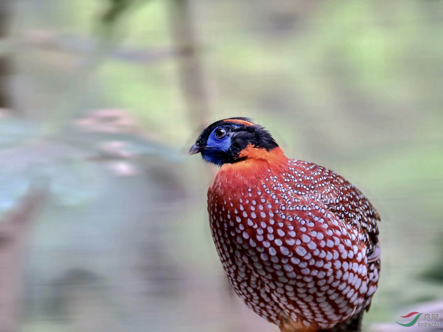 62846505-A6EF-4F81-ABF9-1036CDDEEC39.jpeg