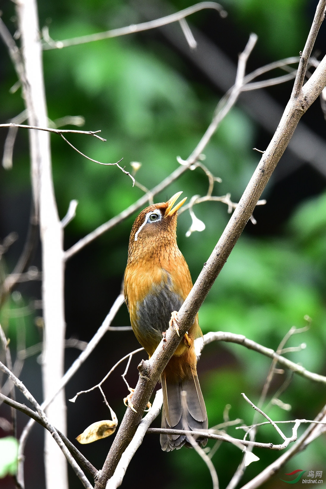 DSC_0349.JPG