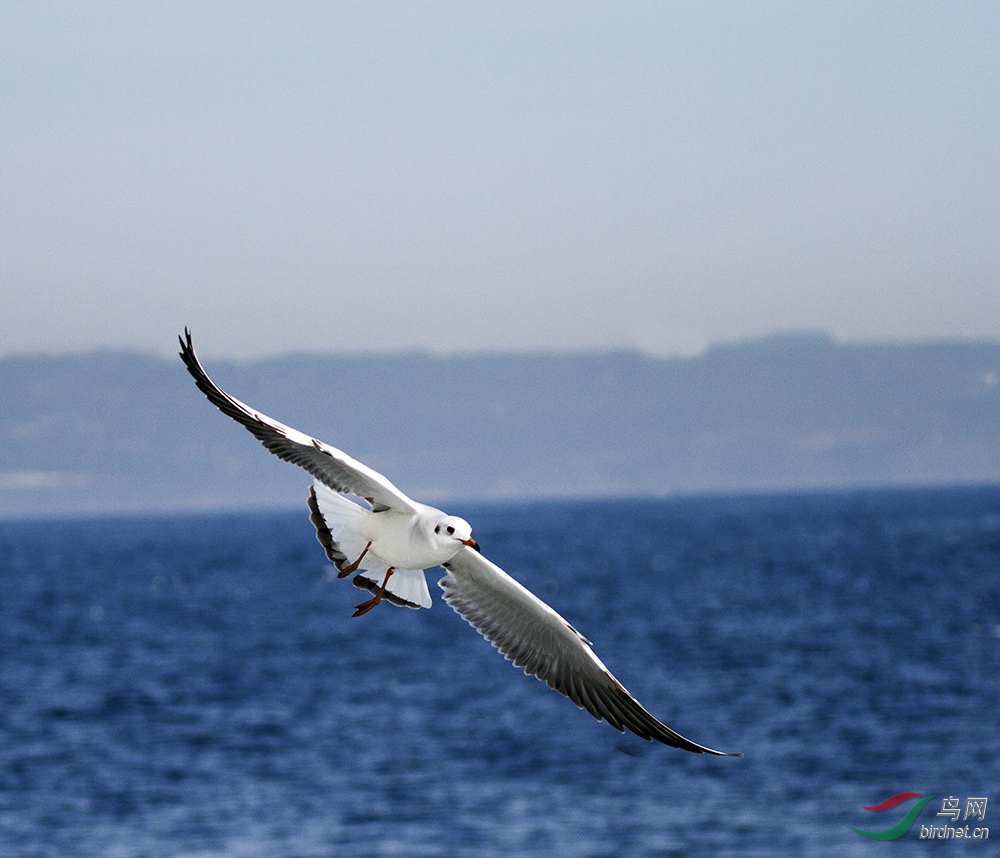 IMG_5834q.jpg