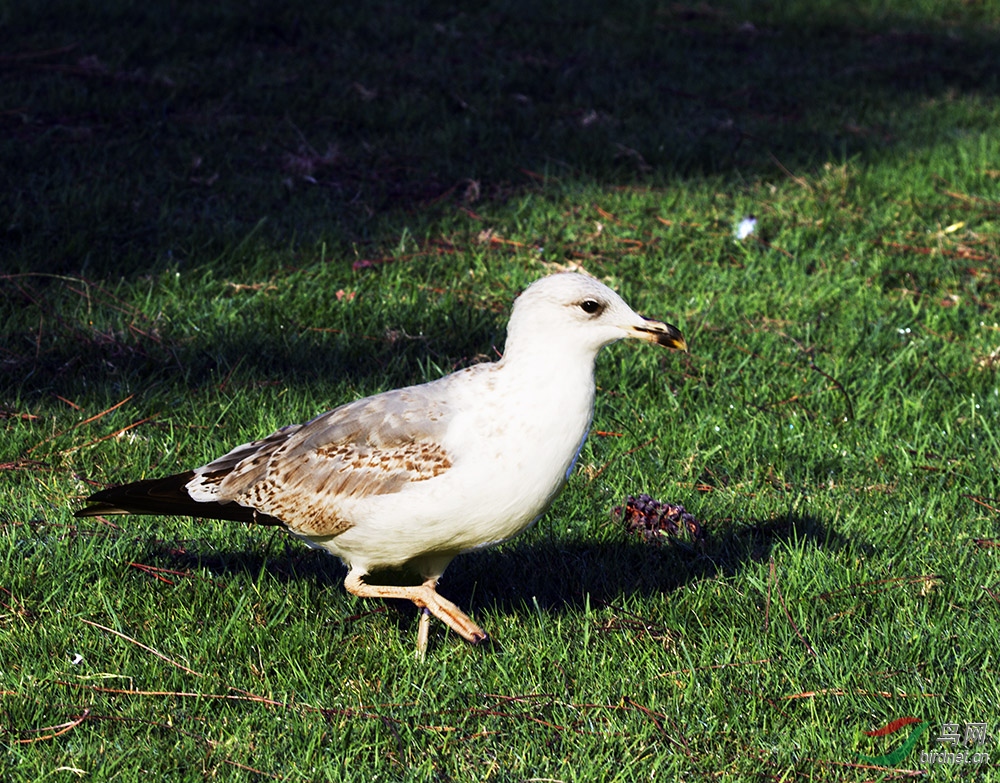 IMG_5992q.jpg