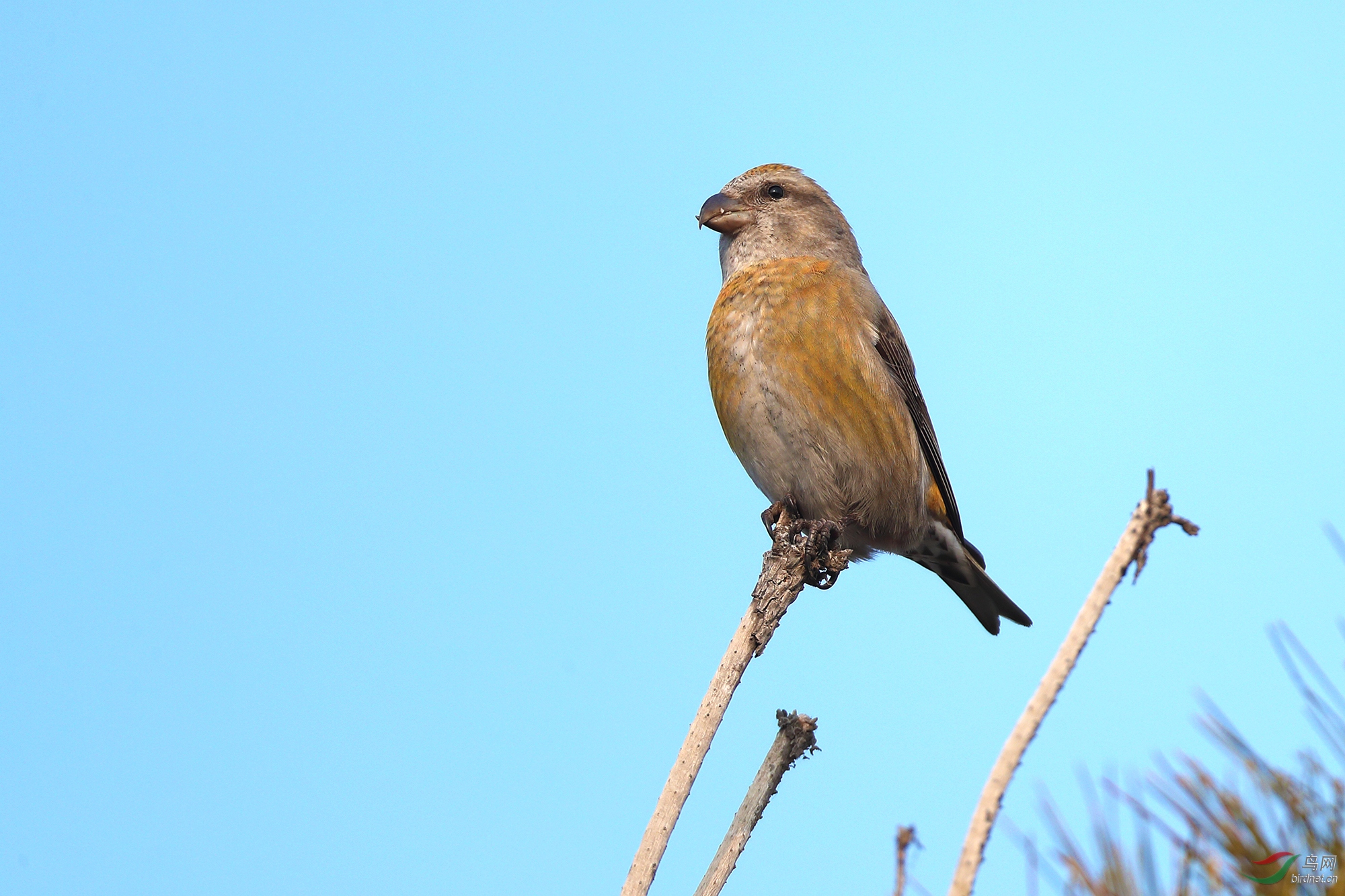 祝吉林版的老师们周末快乐!