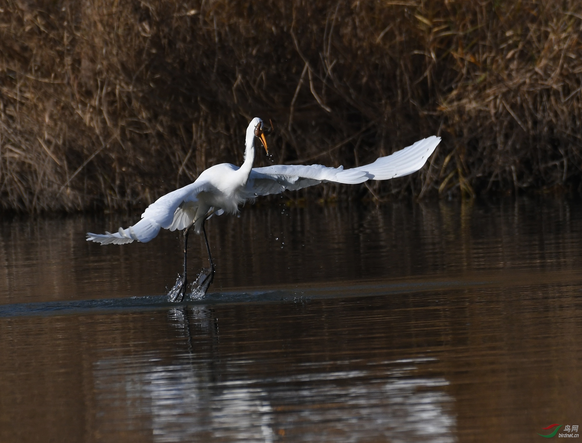 ������Ӱ 222����.jpg