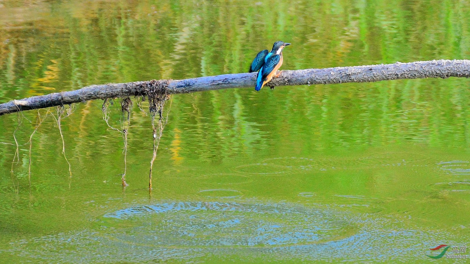 DSC_6034.JPG