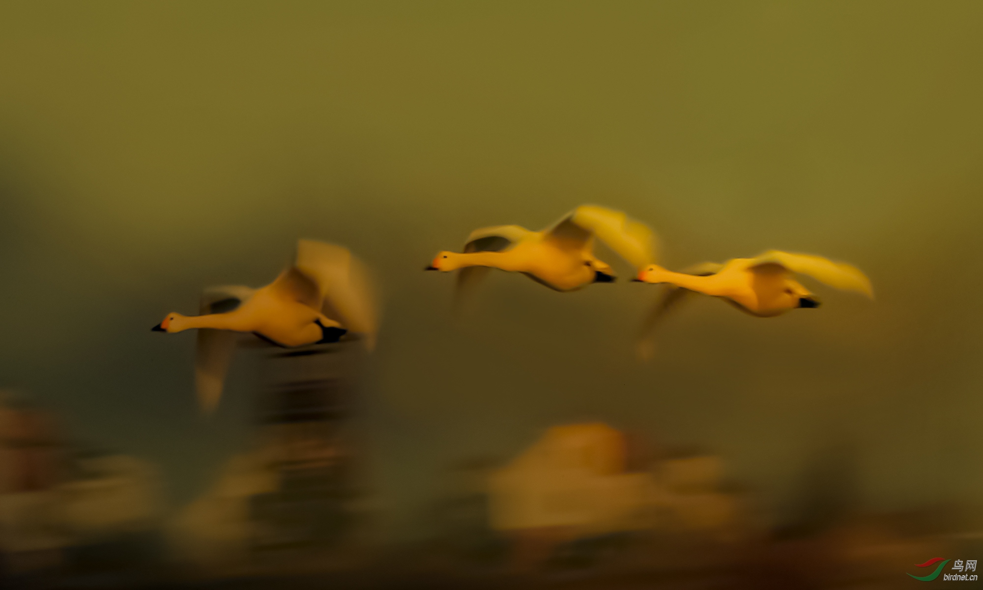 AW4I8769-1.jpg