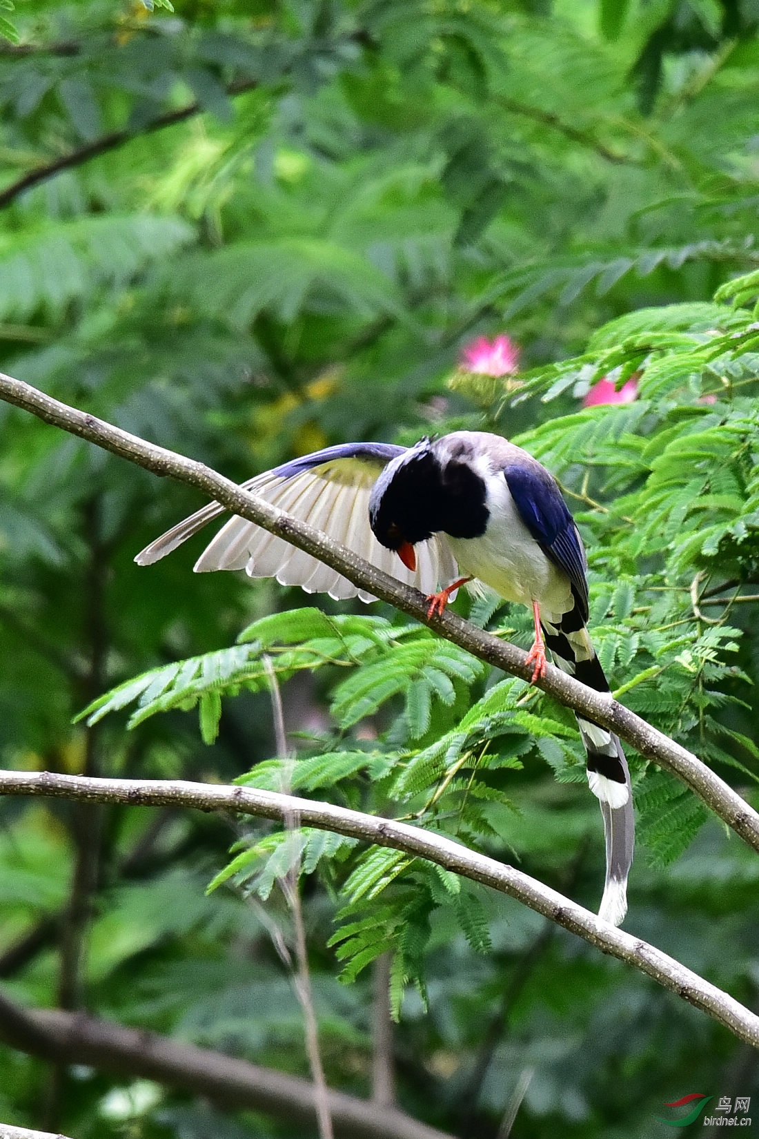 DSC_0773.JPG